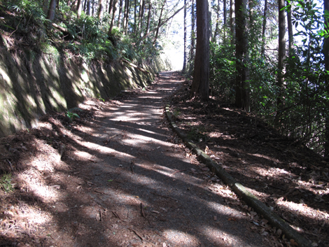 20180116hike (21)
